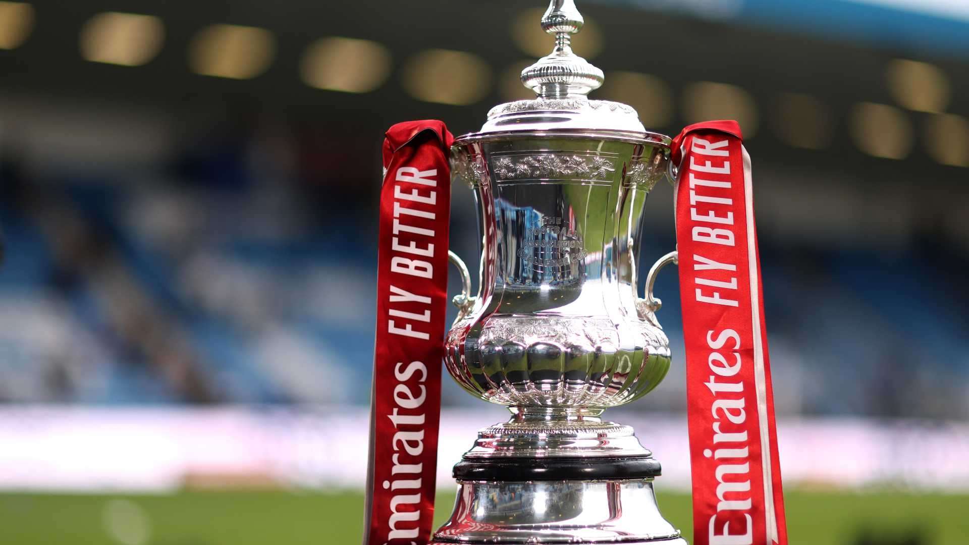 在这篇文章 在这篇文章